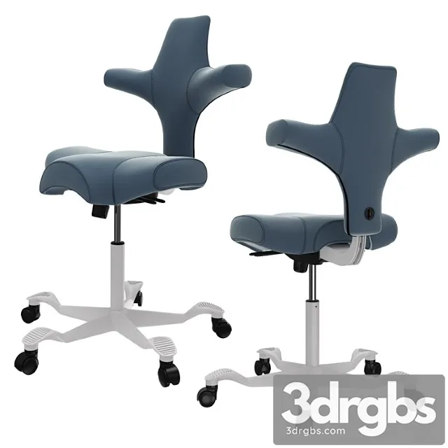 Armchair hag capisco 8106 2 3D Model Free