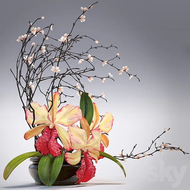 Arrangement of orchids 3D Model