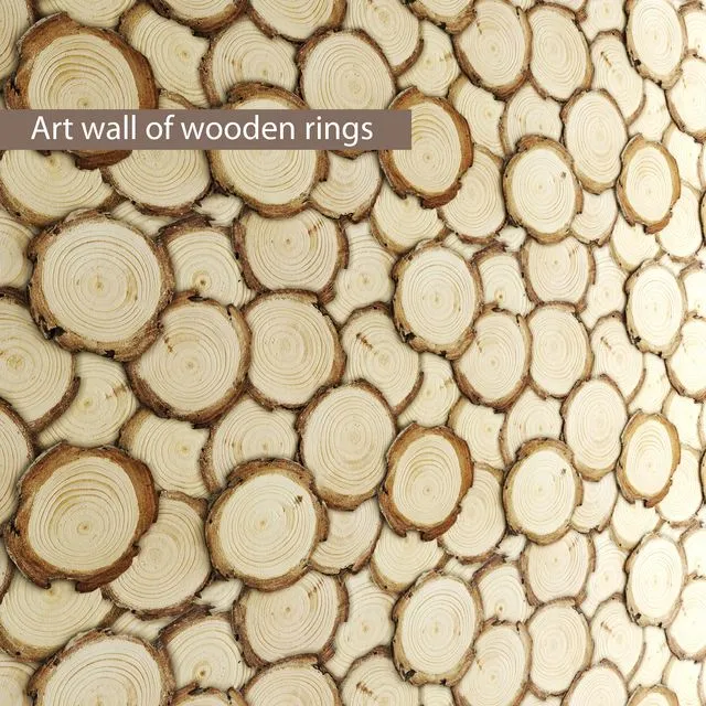 Art wall of wooden rings 3D Model