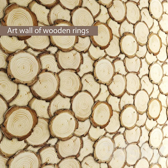 Art wall of wooden rings wall decor disks eco eco design panels 3D Model