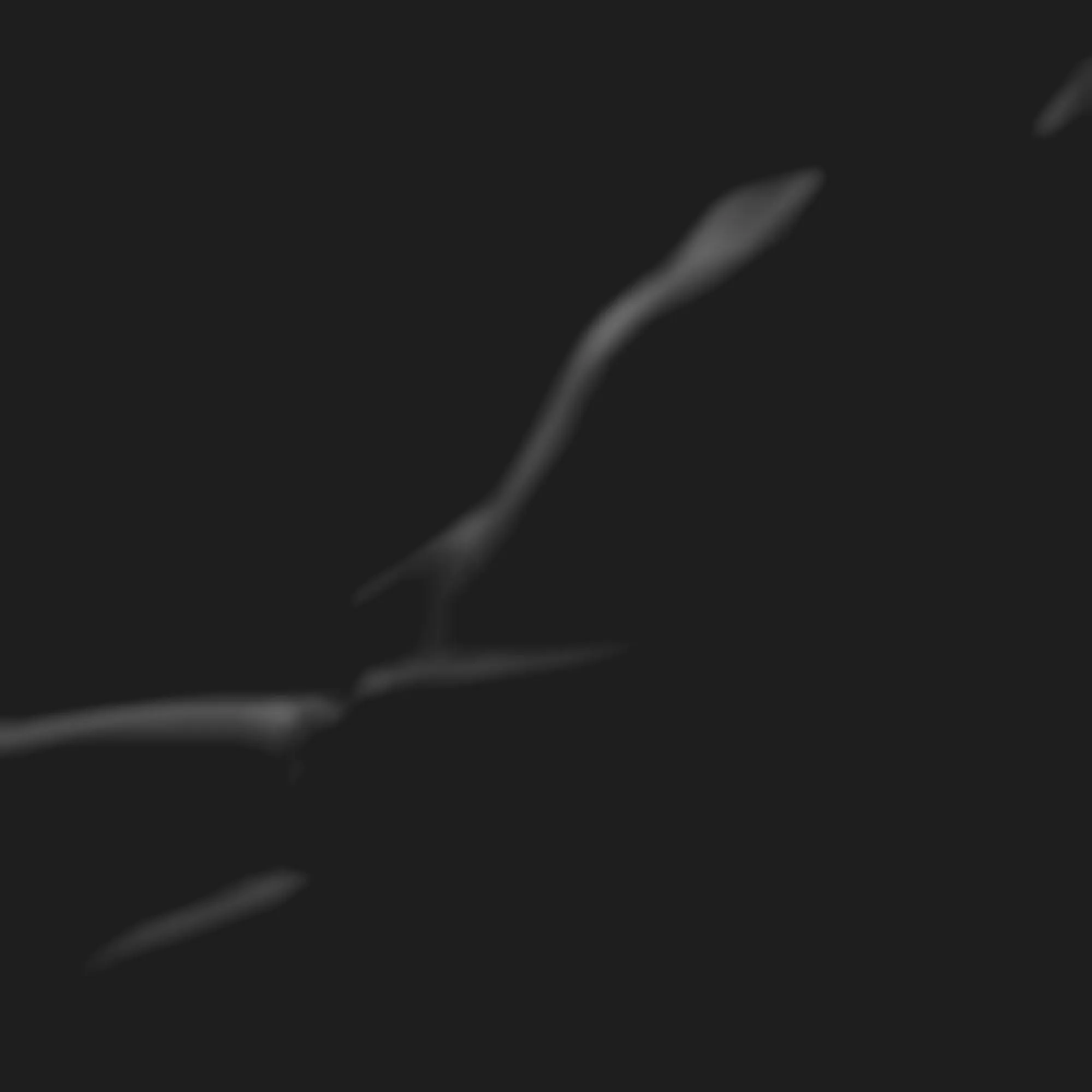 Artashes Martirosyan - Pictures 1 3D Model