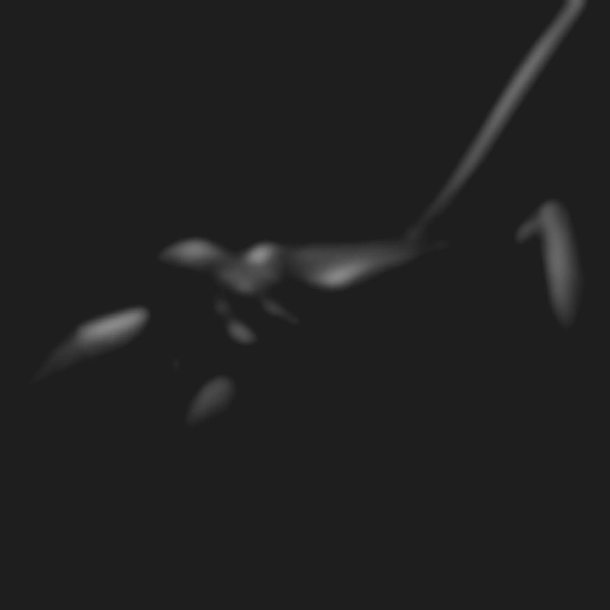 Artashes Martirosyan - Pictures 18 3D Model