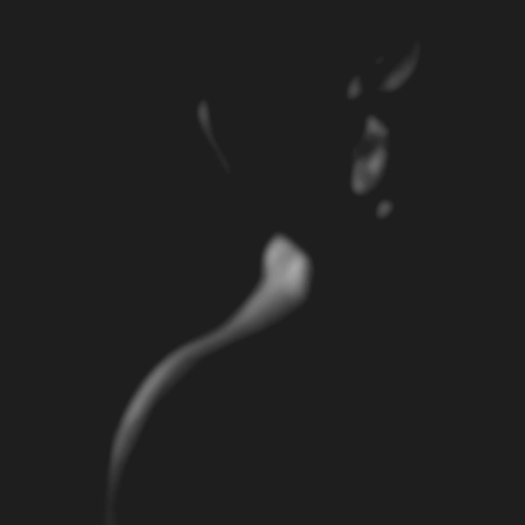 Artashes Martirosyan - Pictures 3 3D Model