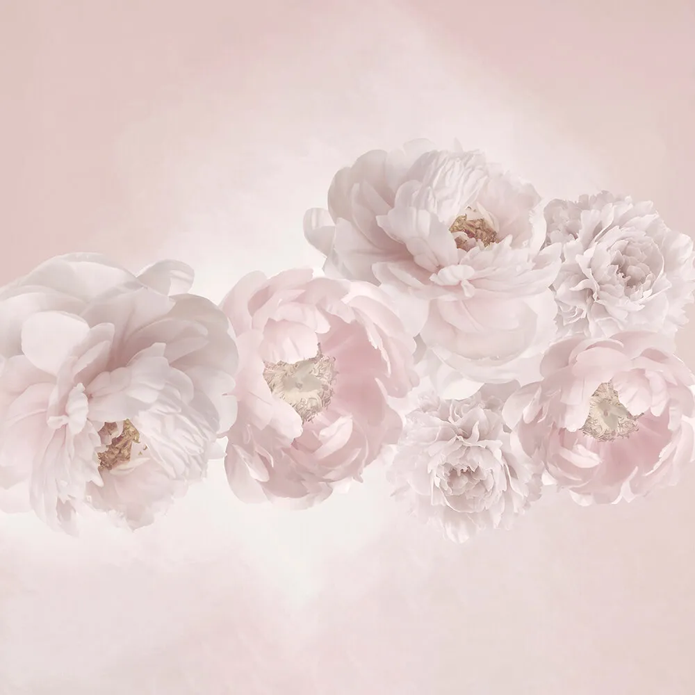 ArtFresco - Wallpaper delicate powder peonies 3D Model