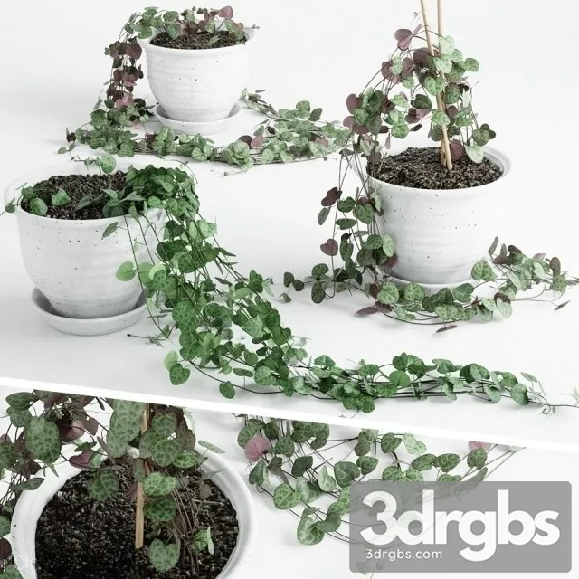 Artificial Vines Garland 2 3D Model Free