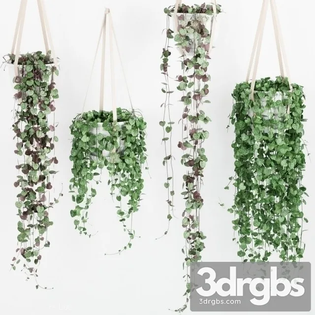 Artificial Vines Garland 3D Model Free