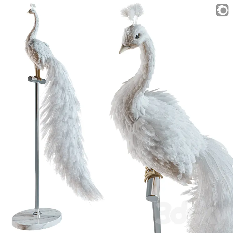 Artificial White Peacock 01. 3D Model Free