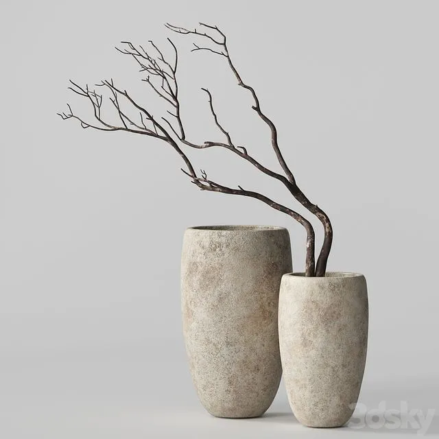 Artisan Rustic Vases with dry Branches 3D Model