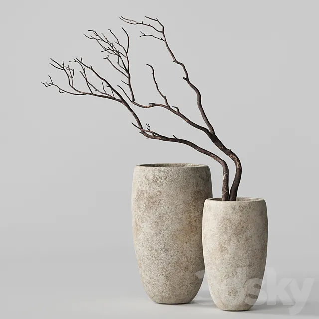 Artisan Rustic Vases with dry Branches Free Download