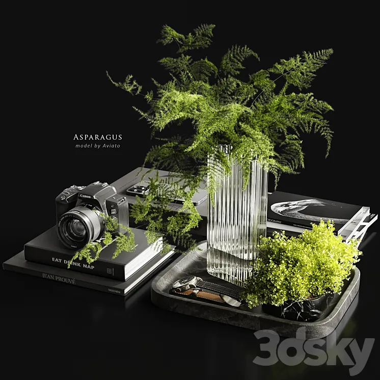 Asparagus 3D Model Free