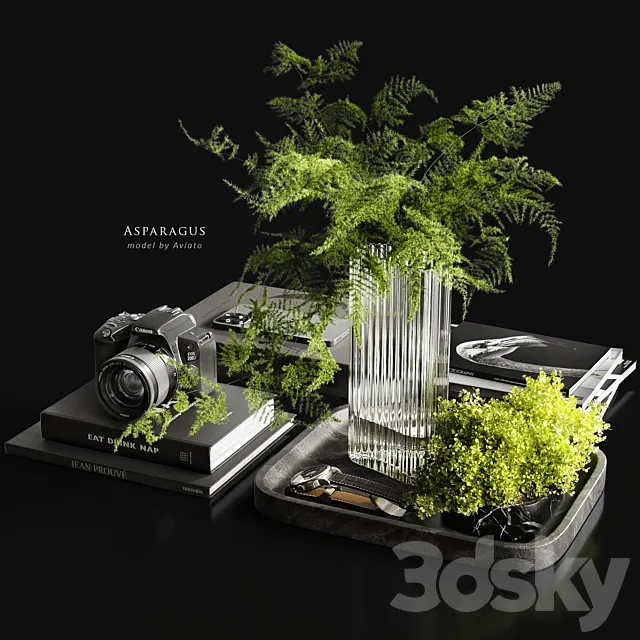 Asparagus 3D Model