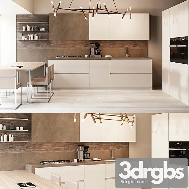 Aster contempora composition 1 3D Model Free