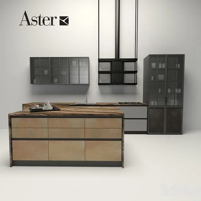 Aster - factory 3D Model