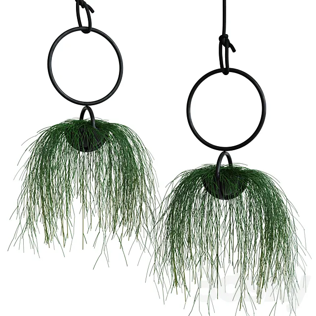 Atelier Haußmann BLUMENKUGEL 3DModel