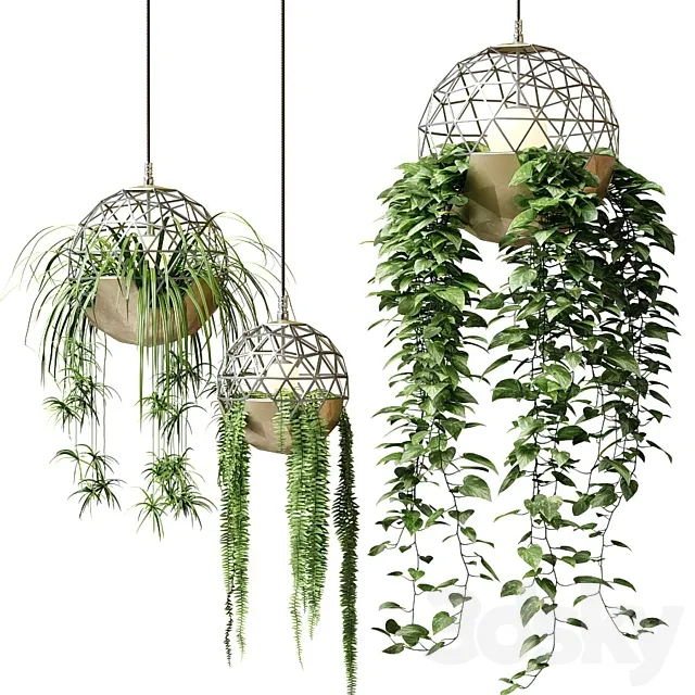 Atelier Schroeter luminaires with hanging plants Free Download