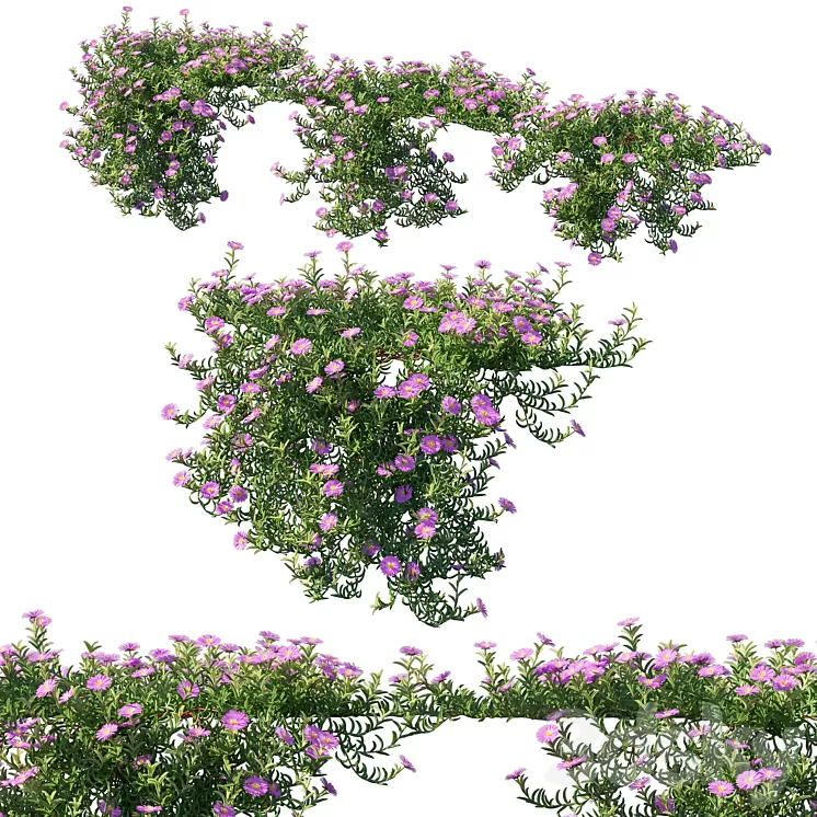 Aussie Rambler 02 3D Model Free