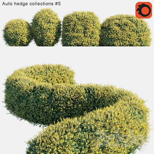 Auto hedge collections # 5 Free Download