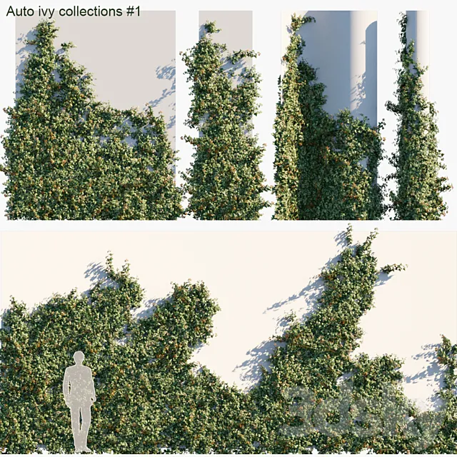 Auto ivy collections # 1 3D Model