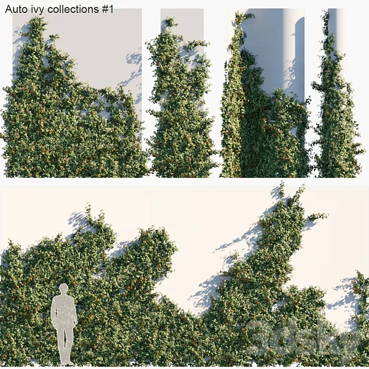 Auto ivy collections # 1 3D Model