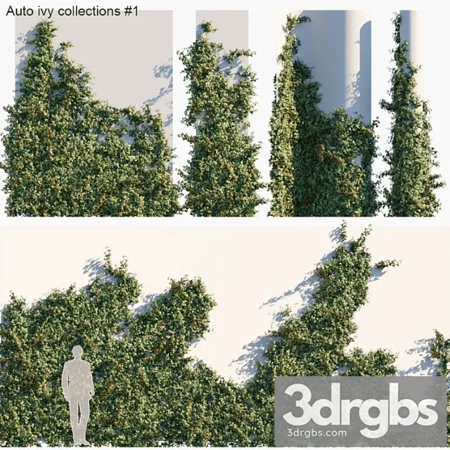 Auto ivy collections