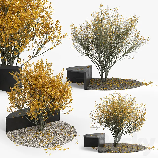 Autumn 3D Model