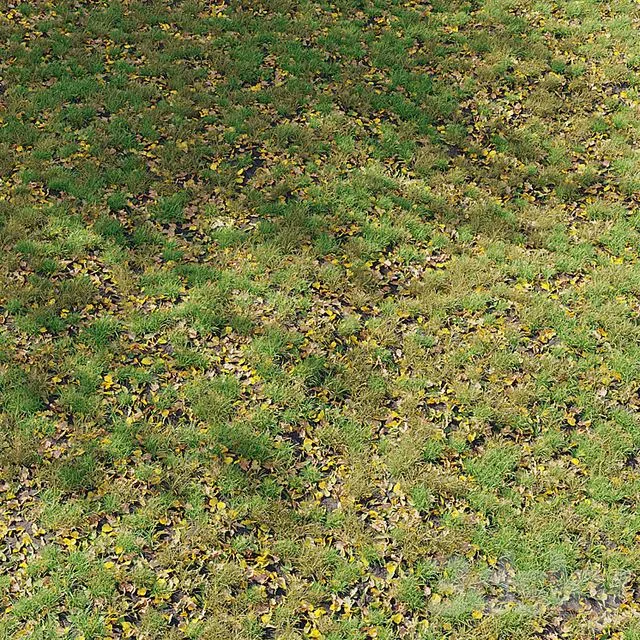 Autumn Grass 01 3D Model