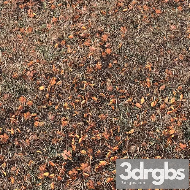 Autumn Grass 3D Model Download