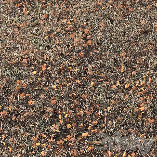 Autumn grass 3D Model