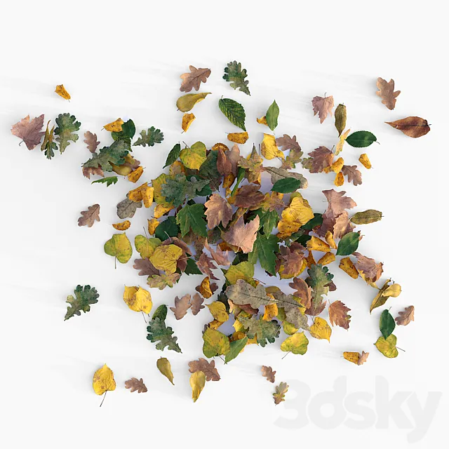 Autumn leaves 3D Model