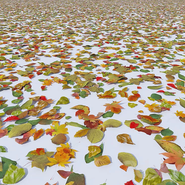 Autumn leaves 3D Model