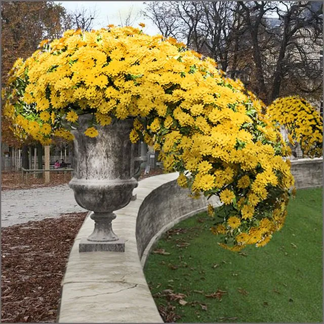 Autumn letters 3D Model