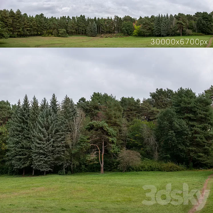 Autumn panorama with trees. 30k 3D Model Free Download