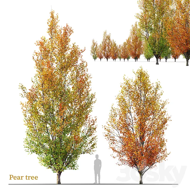 Autumn pear tree 02 Free Download