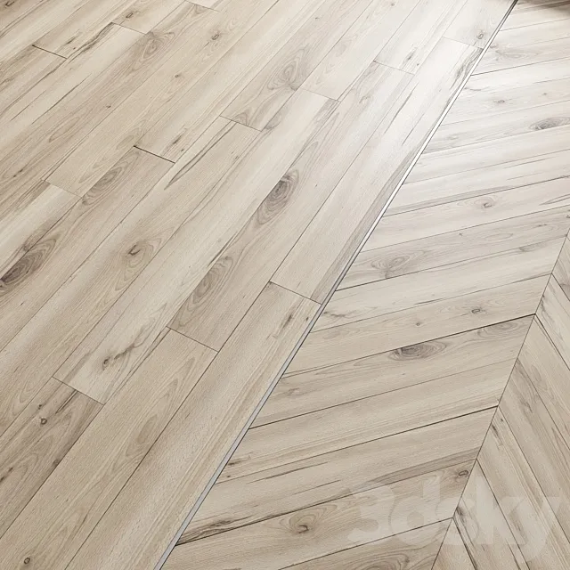 AVE Floor Fiz (Laminate and Chevron Tiles) 3D Model
