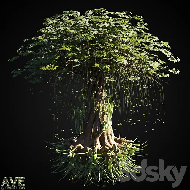 AVE Magic tree 3D Model