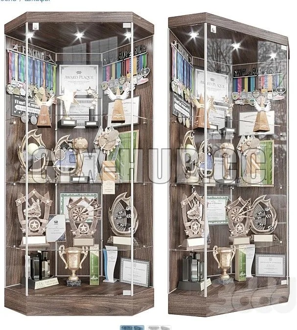 Award cabinet 3 3D Model