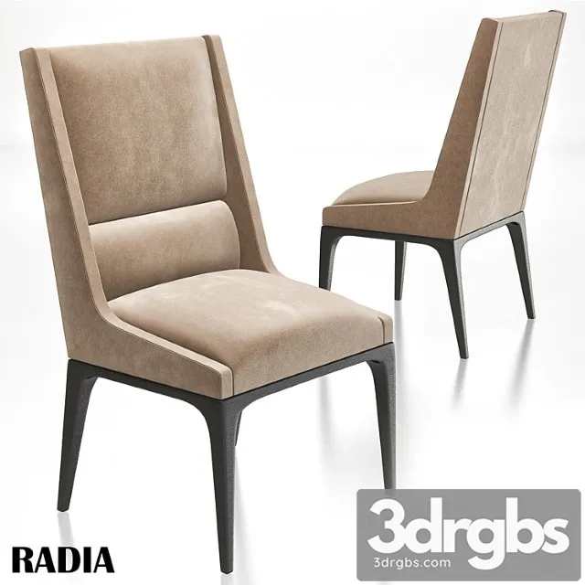 AXIS Radia Dining Chair 3D Model Free