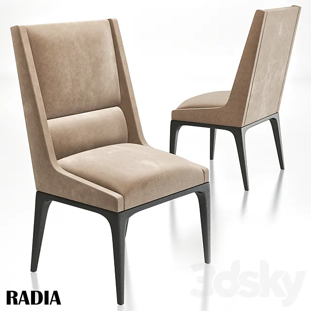AXIS - radia dining chair 3DModel