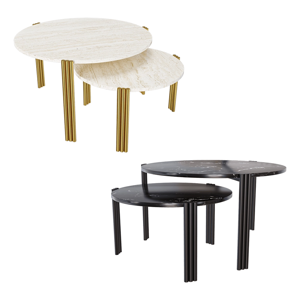 AYTM - Coffee table TRIBUS 3D Model