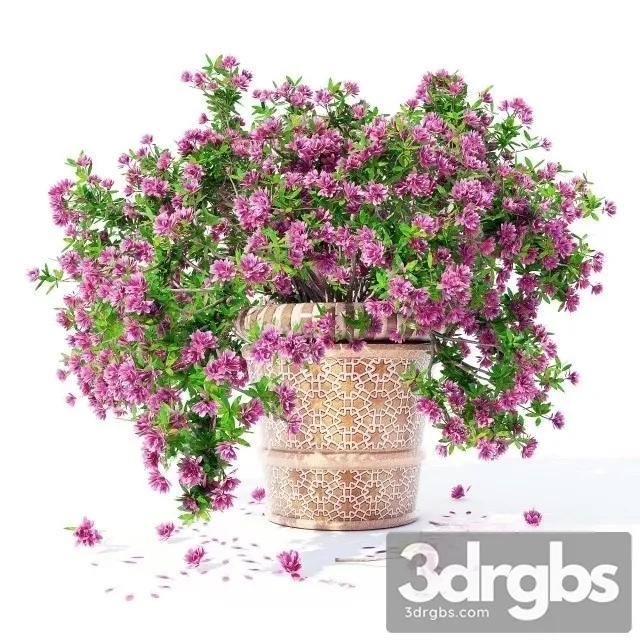 Azalea Bouquet 4 3D Model Free