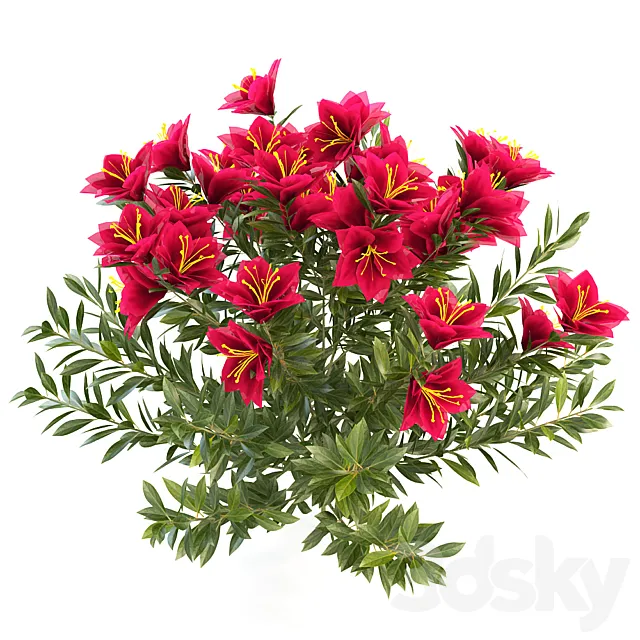 azalea garden 3D Model