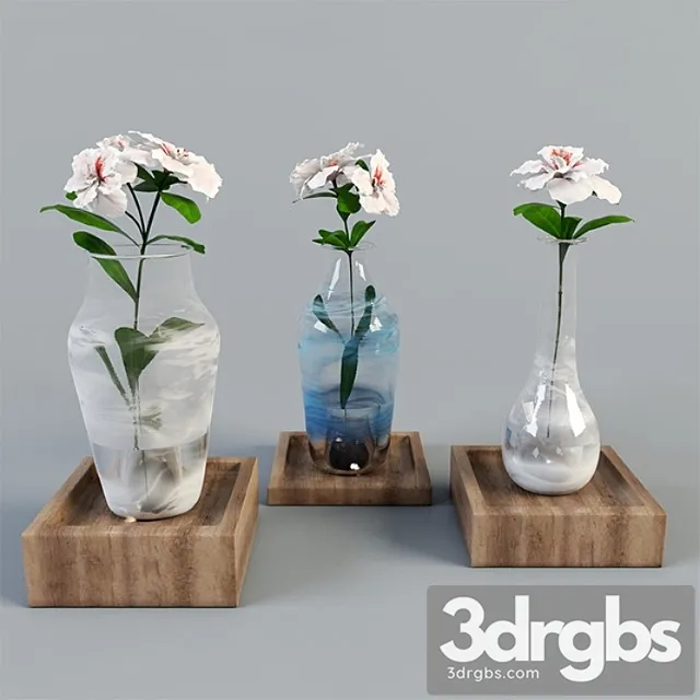 Azalea Vazes 3D Model Free