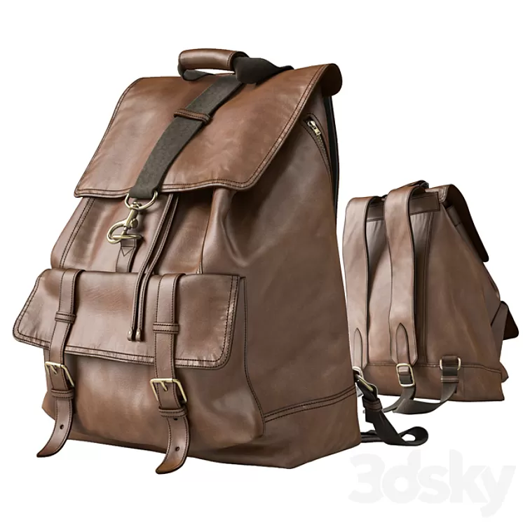 Backpack Coach 3D Model