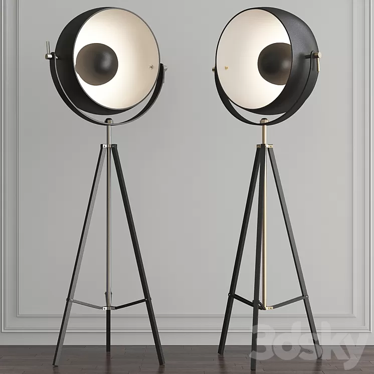 Backstage Matte Black & Polished Nickel Floor Lamp by ELK Home