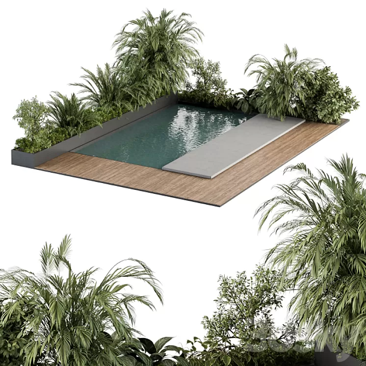 Backyard and Landscape Furniture with Pool 04 3D Model