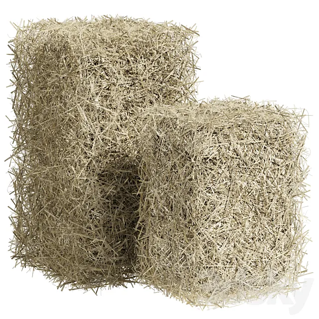 Bales of hay 3D Model