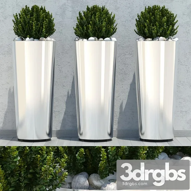 Ball Plant 03 3D Model Free
