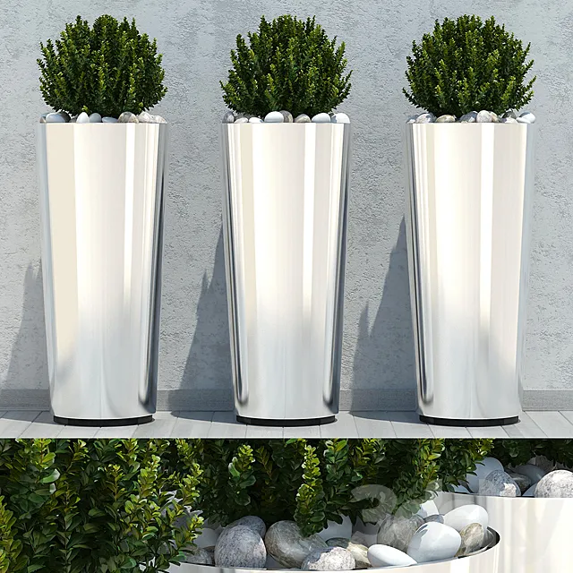 Ball plant 03 3D Model