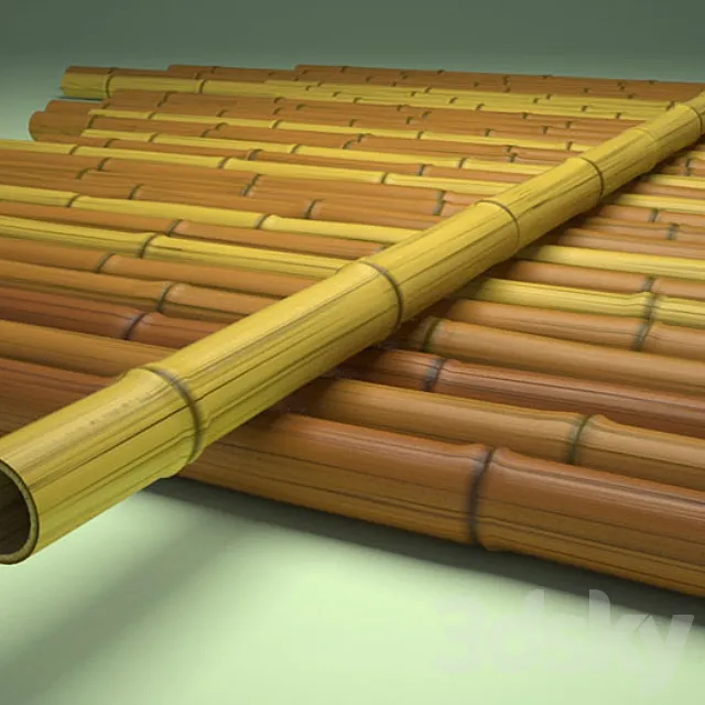 Bamboo 3D Model