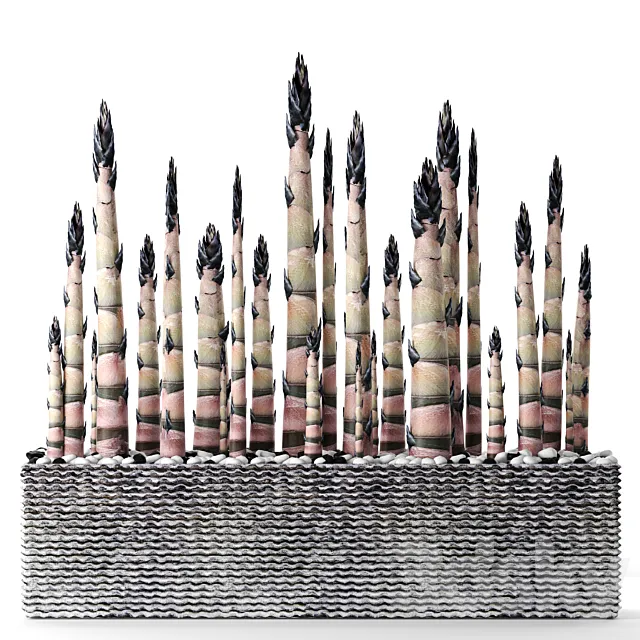 Bamboo. Bamboo shoots china japan decorative indoor outdoor pot flowerpot carved stone 3D Model